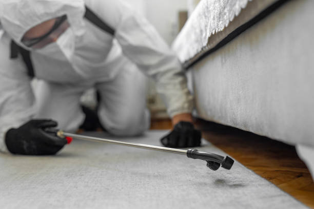 Professional Pest Control technician working in Bosque Farms, NM