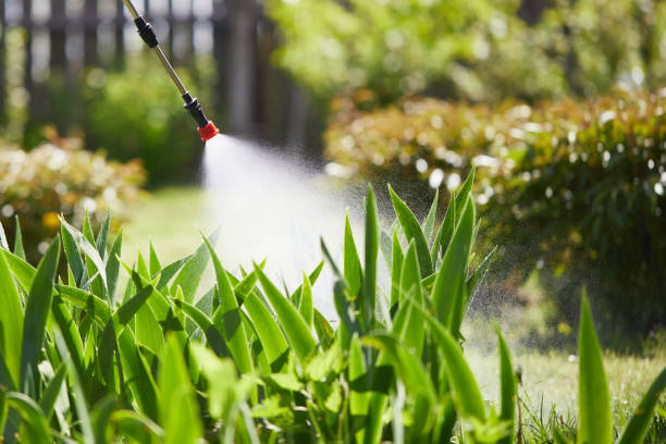 24/7 Emergency Termite Control experts in Bosque Farms, NM