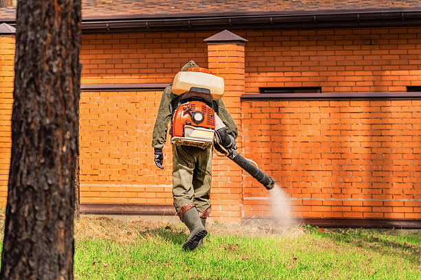 Trusted Termite Control service in Bosque Farms, NM - Nex Pest Control